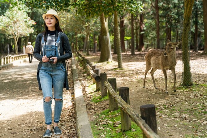 Private Journey in Nara's Historical Wonder - Personalized Private Tour Experience