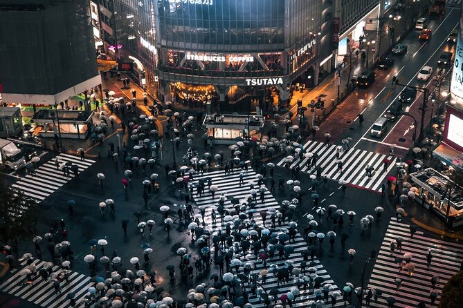 Private One Day Tokyo City Tour With Bilingual Driver - Tour Details and Positive Feedback