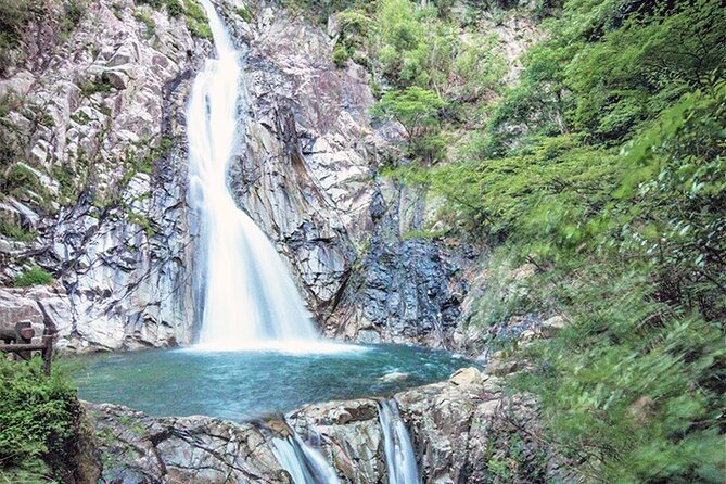 Private Shore Excursion Kobe Port - Best of Kobe With a Local - Cancellation Policy and Weather