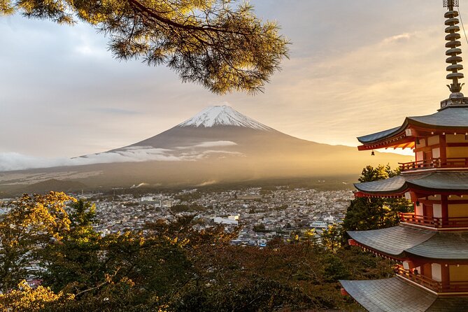 Private Tour in Mt Fuji and Hakone With English Speaking Driver - Traveler Photos and Reviews