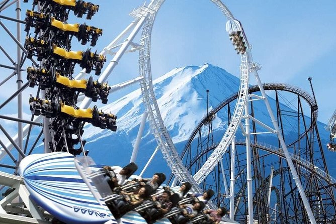 Private Transport Mt Fuji and Hakone 1 Day Trip - Meeting and Pickup