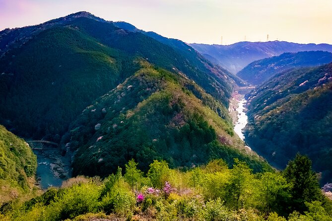 Private Van - Deep Kyoto & Arashiyama Tour (Full-English Guide) - Pricing and Terms