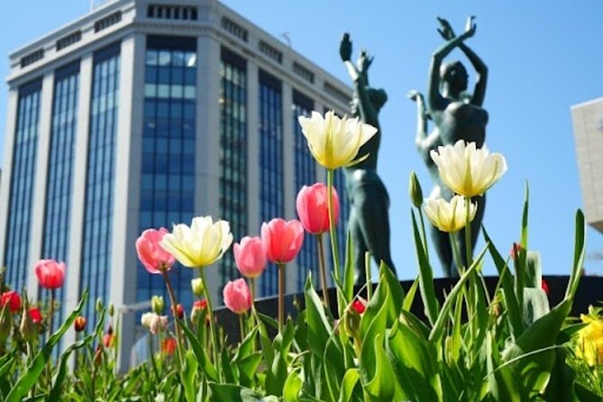 Sapporo Afternoon Walking Tour 2h 30mins - Booking and Pricing Details