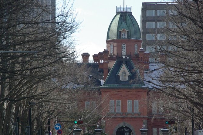 Shared Arrival Transfer : New Chitose Airport to Sapporo City - Traveler Tips and Reviews