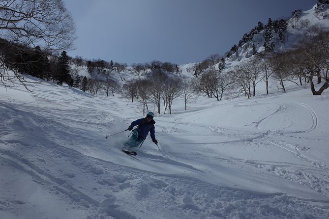 Ski Lesson Around KARUIZAWA - Tips for a Memorable Ski Experience