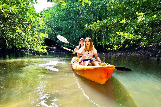 SUP/Canoe Tour In Mangrove Forest in Iriomote Okinawa - Uncover the Secrets of the Mangrove Ecosystem