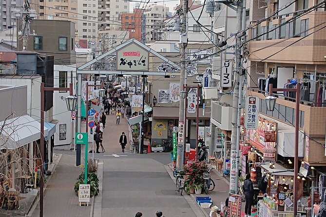 Tokyo 7-Hour Free Choice Tour - Tour Inclusions