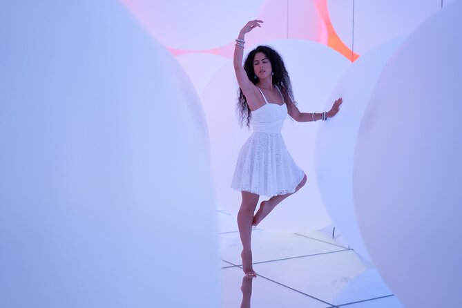 Tokyo Artistic Portrait Tour - Contact Information and Terms