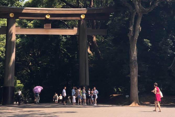 Tokyo Half-day Customized Private Tour - Cancellation Policy