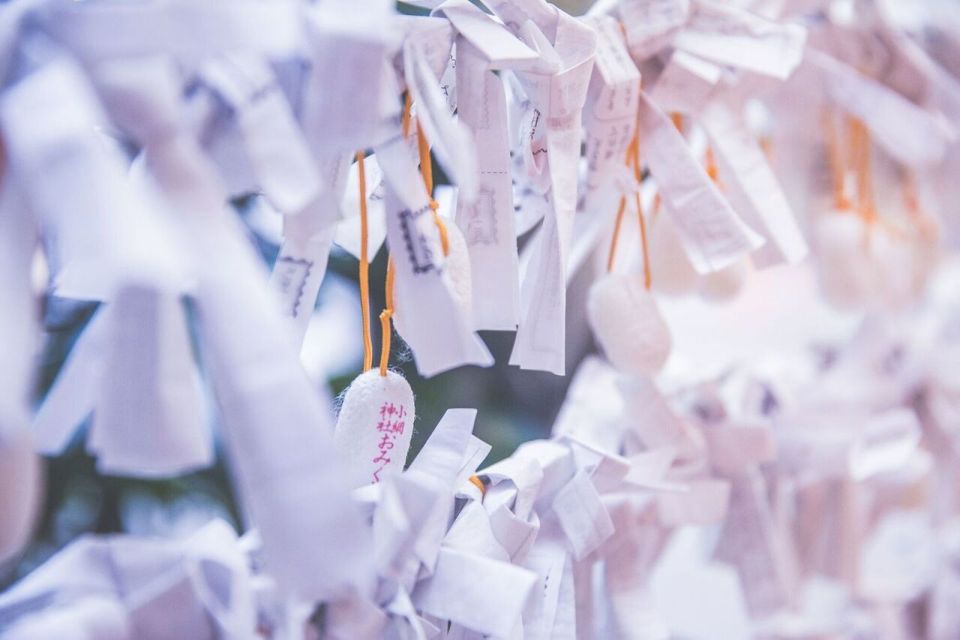 Tokyo: Japan's Cultural Curiosities Walking Tour - Select Participants and Date