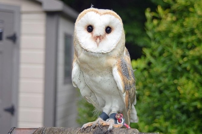 Tokyo Private Customized City Tour - Recommended for Families and First-time Visitors