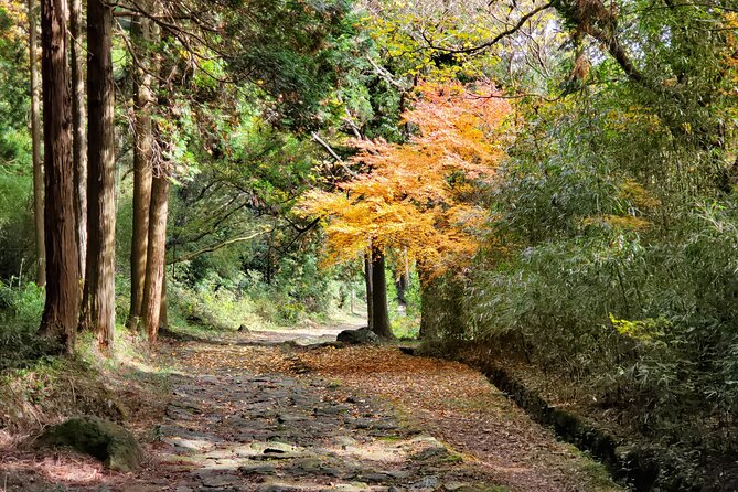 Walking Through the Aso Caldera, Historical Walk Along the "Bungo Kaido" - Meeting the Local Guides