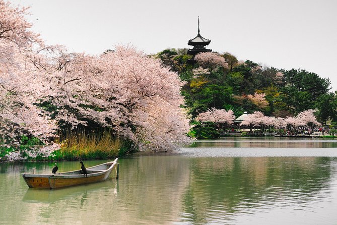 Yokohama Half Day Tour With a Local: 100% Personalized & Private - Traveler Photos and Reviews