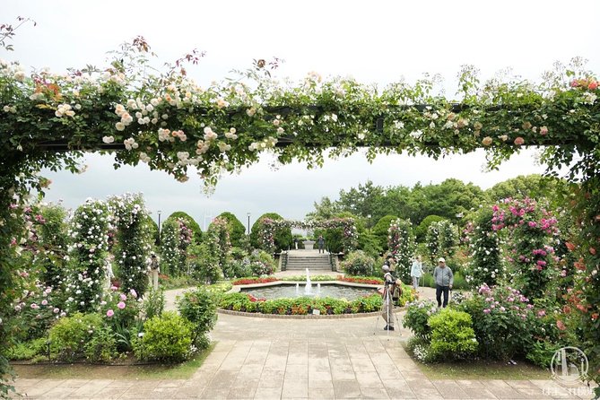 Yokohama / Kamakura Half-Day Private Trip With Government-Licensed Guide - Reviews and Pricing