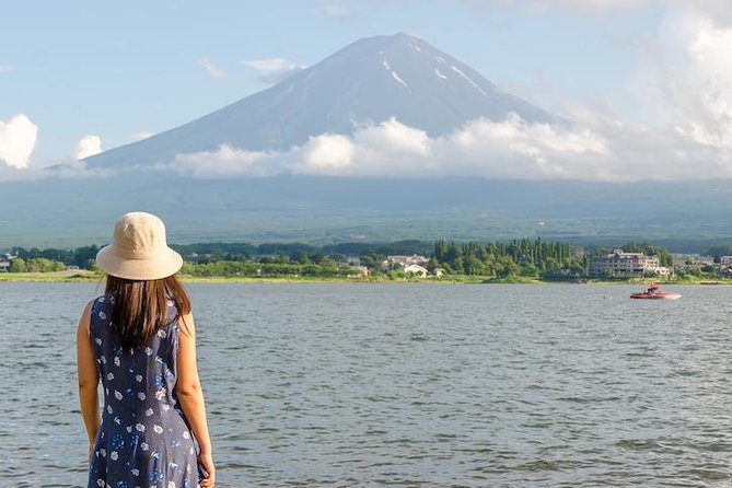 1 Day Private Mt Fuji Tour (Charter) - English Speaking Driver - Positive Experiences