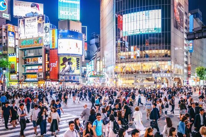 1-Day Private Tokyo Sightseeing Tour With Guide - Booking and Payment Information