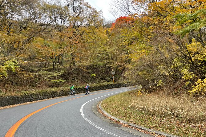 Akagi Mountain E-Bike Hill Climbing Tour - Booking and Reservation Process