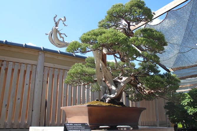 Bonsai Museum & Bonsai Experience - Additional Information About Bonsai Museum