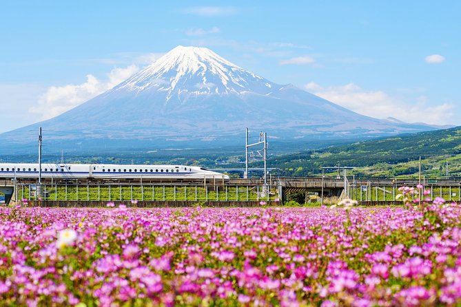 Bullet Train and Mt. Fuji Famous Food Tour - Traveler Photos and Reviews