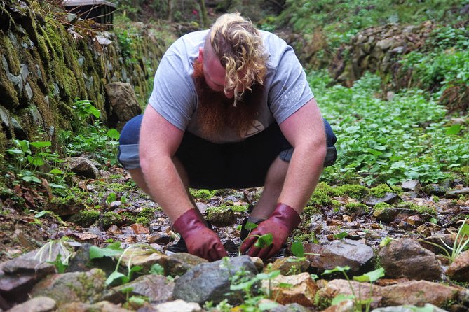 Cultivate Organic WASABI - Common questions