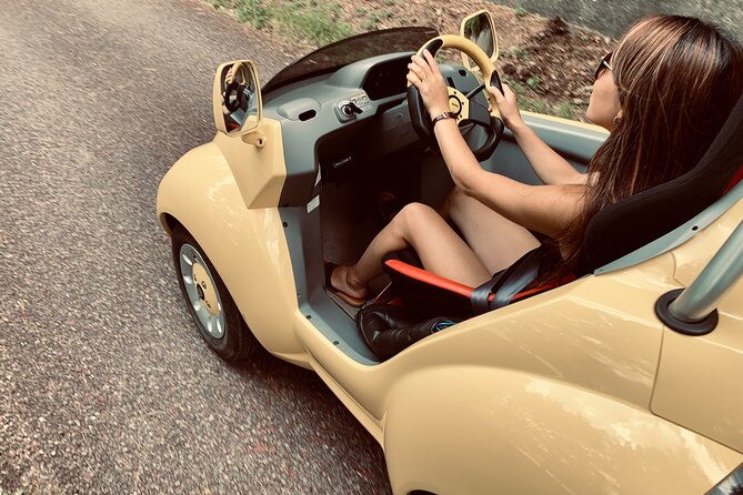 Cute & Fun E-Car Tour Following Guide Around Lake Kawaguchiko - Common questions