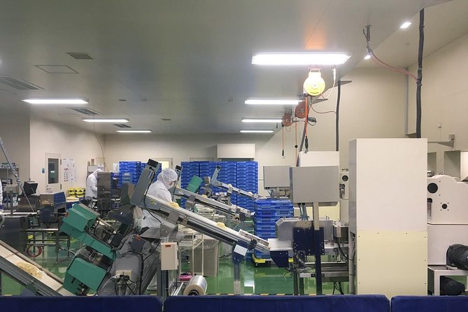 Fukuoka Nature and Cultural Sightseeing Tour - Booking Information