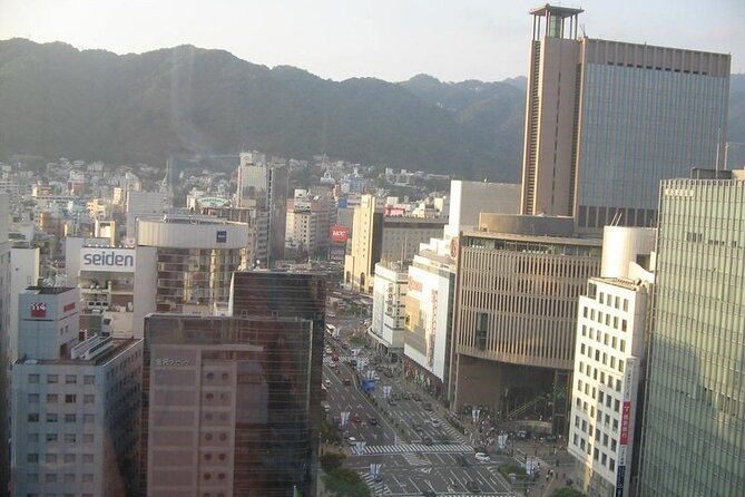 Full-Day Private Guided Tour to Kobe City - Date and Traveler Selection