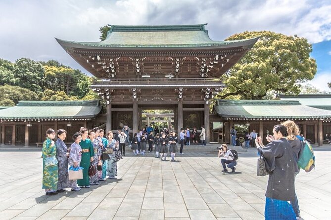 Full Day Private Luxury Tokyo Tour - Pricing and Terms & Conditions