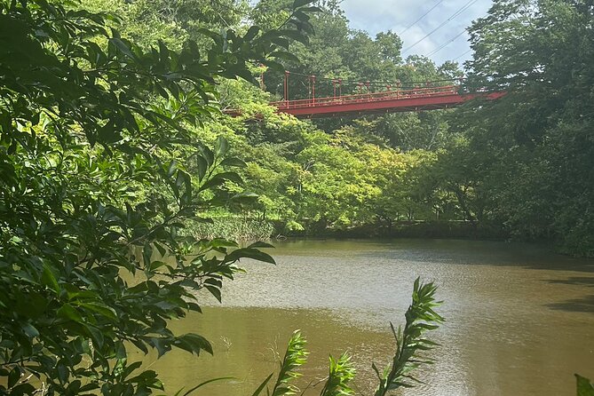 Full-Day Private Tokyo Countryside Tour - Transportation