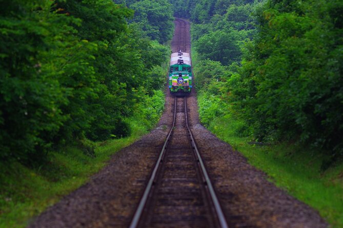 Furano Biei Tour Sapporo DEP: English Speaking Driver, No Guide - Communication With Driver