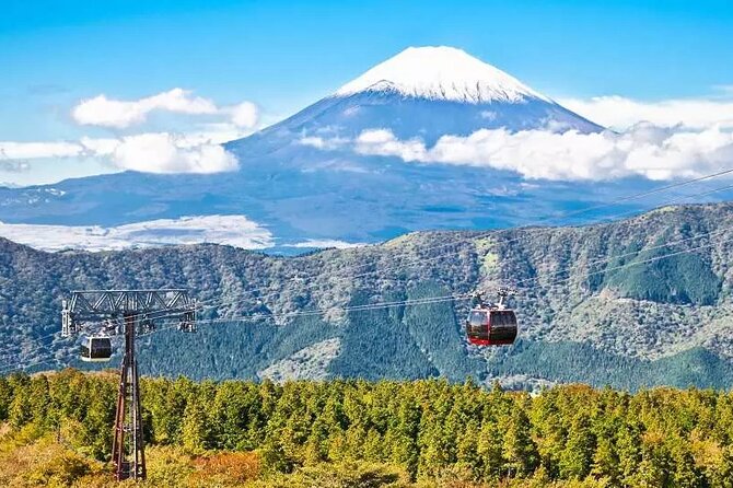 Hakone FreePass, 2-3 Days Japan - Authentic Traveler Reviews