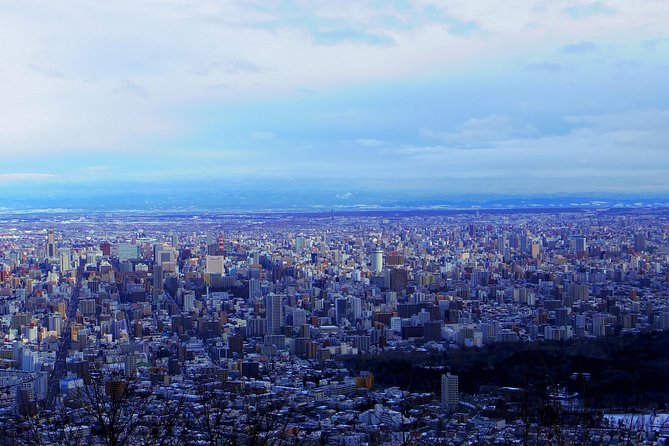 Half-Day (4 Hours) Sapporo City Tour - Safety Precautions