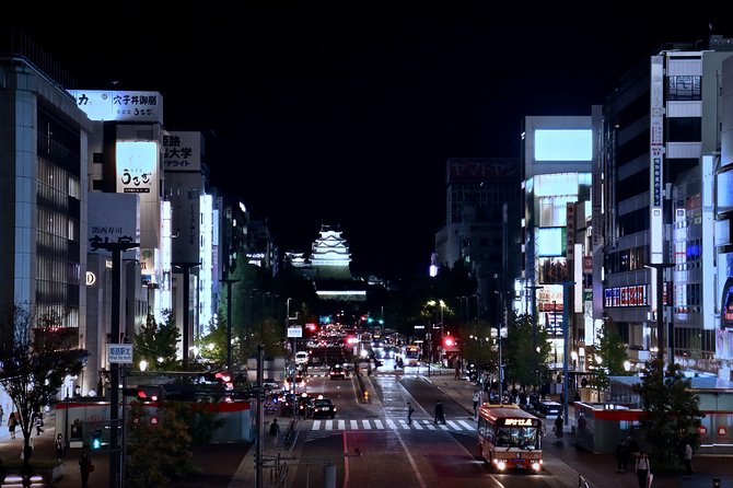 Himeji Custom Half Day - The Sum Up