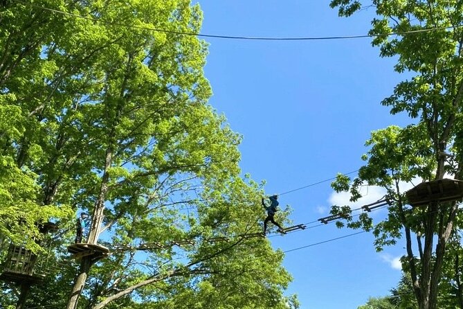 Hokkaido Wild Experiences: Forest Adventure and Day Camp - Additional Important Information