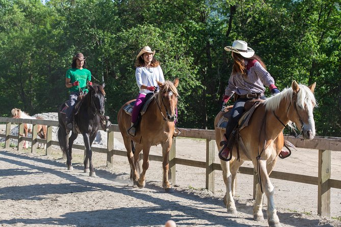 Horseback-Riding in a Country Side in Sapporo - Private Transfer Is Included - Horseback-Riding Adventure