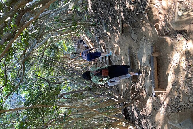 Japan Drive - Exploring Off-The-Beaten-Path Attractions During Your Japan Drive