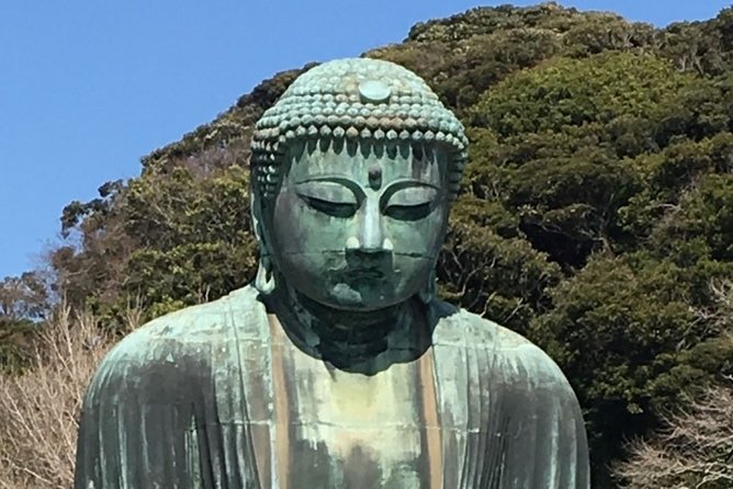 Kamakura Flower Tour - Terms & Conditions