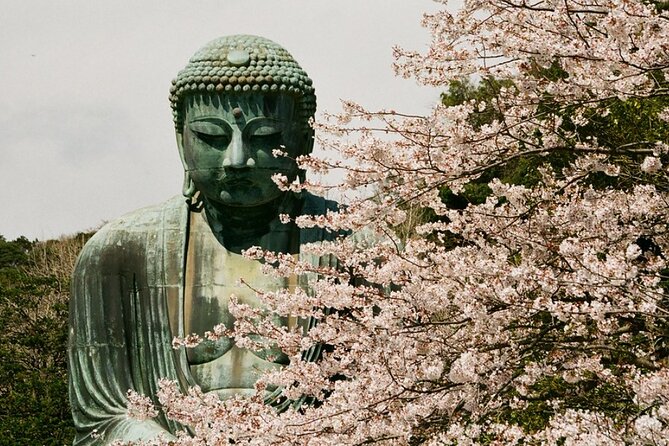 Kamakura or Tokyo Castamized Private Tour -English Speaking Guide - Cancellation Policy