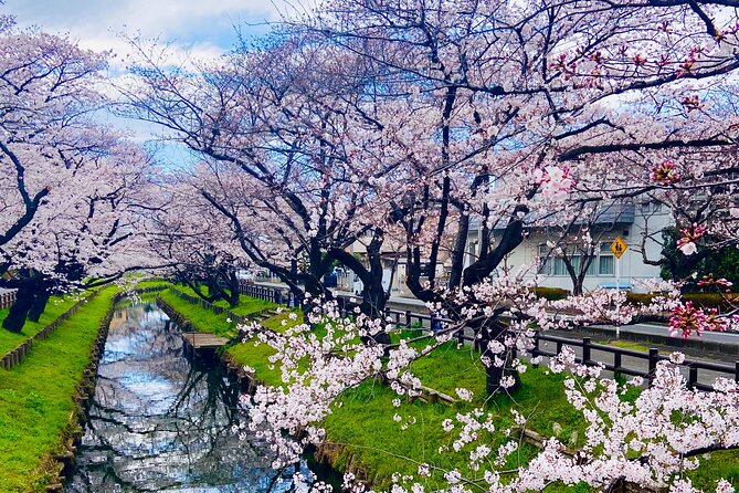 Kawagoe Local Trip : Uncovering the Hidden Treasures - Directions and Meeting the Guide