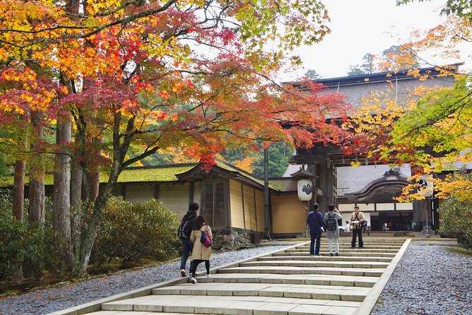 Koyasan Full-Day Private Tour - Important Considerations