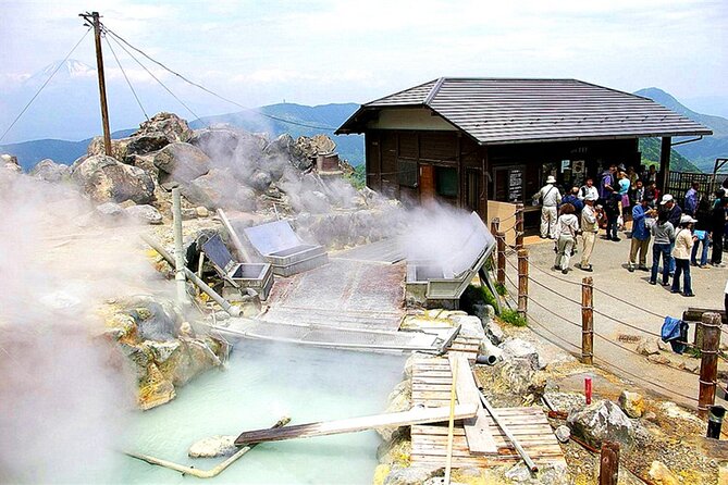 Lake Ashi, Hakone Owakudani, Kowakien With Daily Chauffeur. - Weather Conditions and Impact on the Experience