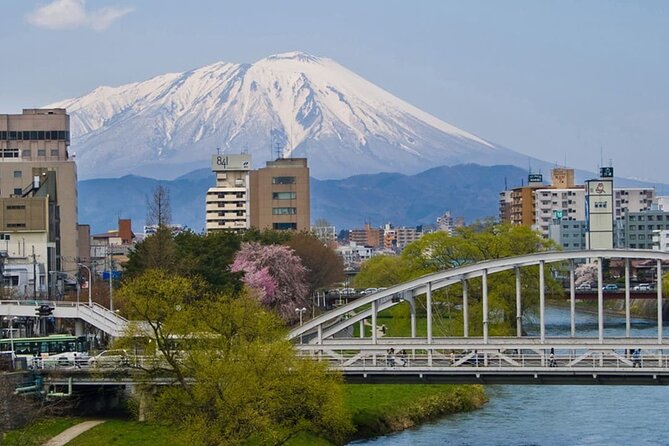 Morioka Full-Day Private Tour With Government-Licensed Guide - Additional Information