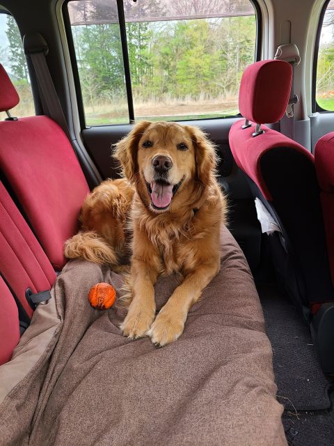 Mount Fuji & Kawaguchiko: Private Guided Customizable Tour - Customer Reviews