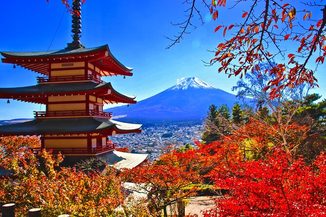 Mt Fuji, Arakurayama Sengen Park and Oshino Hakkai Guided Tour Tour Highlights