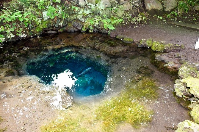 Mt Fuji Day Trip From Tokyo by Car With Photographer Guide - Additional Information