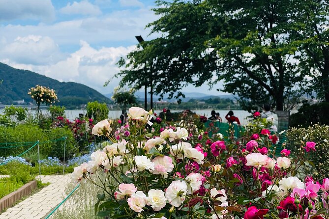 Mt Fuji Private Tour With English Speaking Driver - Nov 2023 Availability