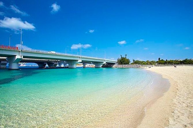 Naha Full-Day Private Tour With Government Licensed Guide - Cancellation Policy