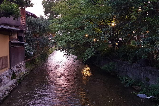 Nighttime All-Inclusive Local Eats and Streets, Gion and Beyond - The Ultimate Local Experience: Engaging With Knowledgeable Guides