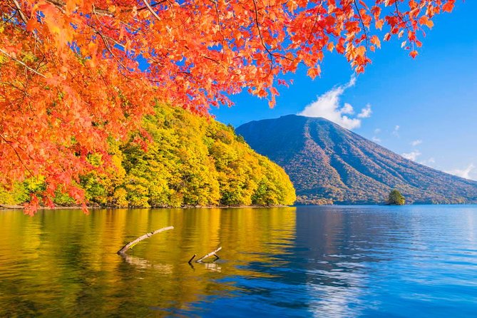 Nikko Full-Day Private Walking Tour With Government-Licensed Guide (Tokyo Dep.) - Landmark Selection and Personalization