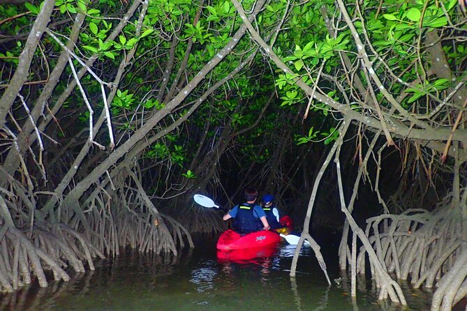 [Okinawa Miyako] Great Adventure! Starry Night Canoe!! - Common questions